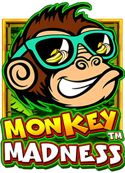 slotxo เล่น ไม่ ได้ อย่างไรให้ถูกต้อง